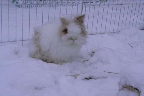 Ausflug im Schnee