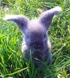 Unser Schester als Baby